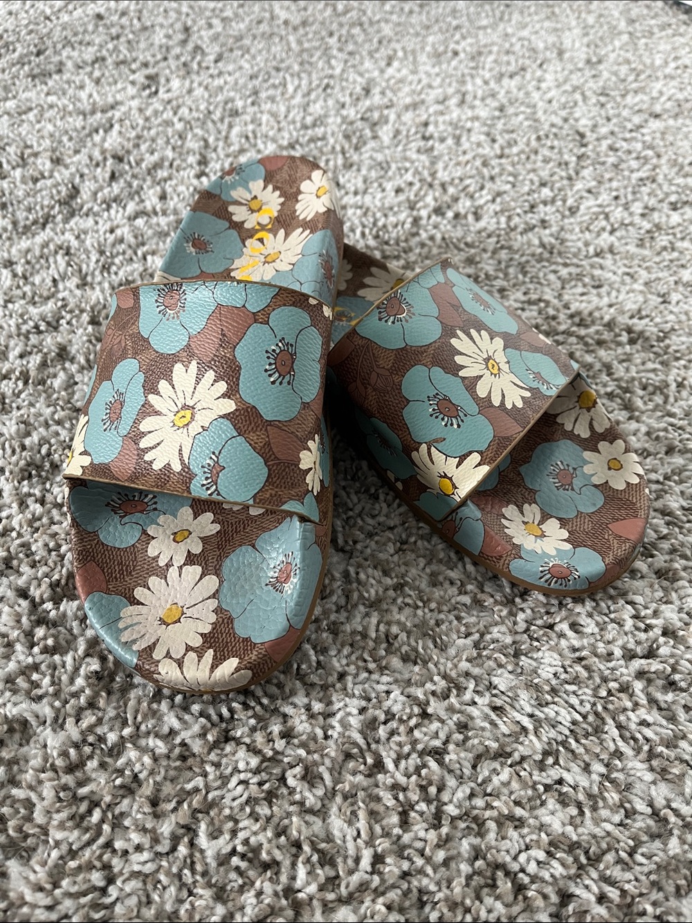 Coach Daisy Slides